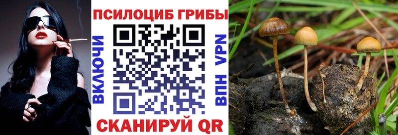 Купить  Омутнинск  Псилоцибиновые грибы GOLDEN TEACHER 